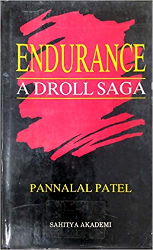 book cover endurance a droll saga