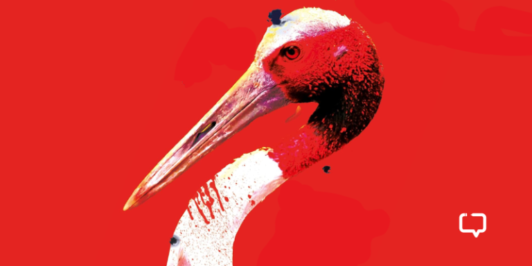 The Death of a Sarus Crane by Ambai