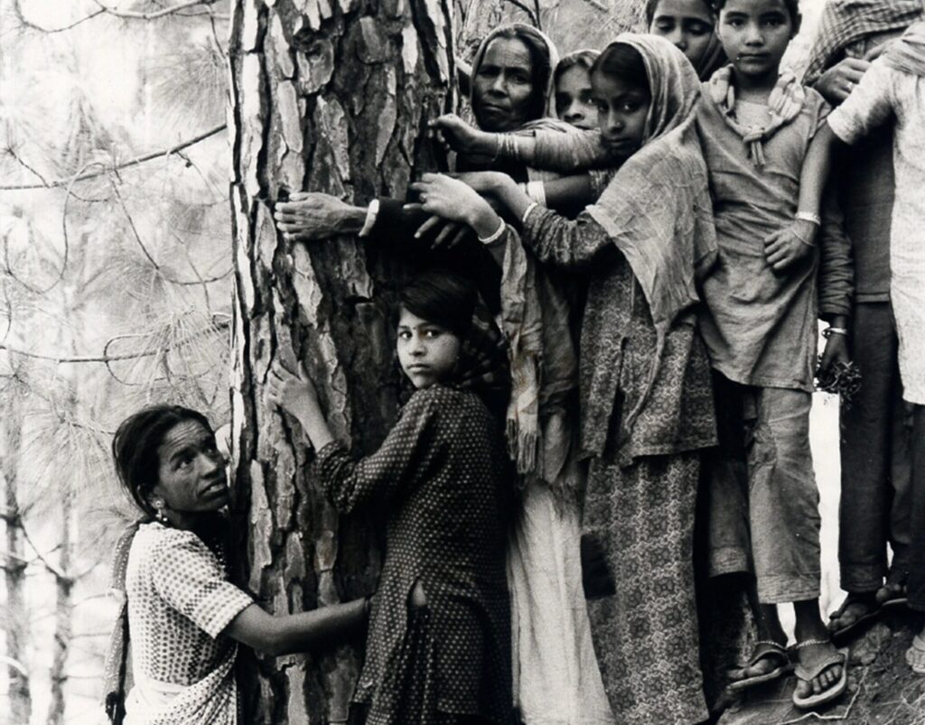 Chipko Movement